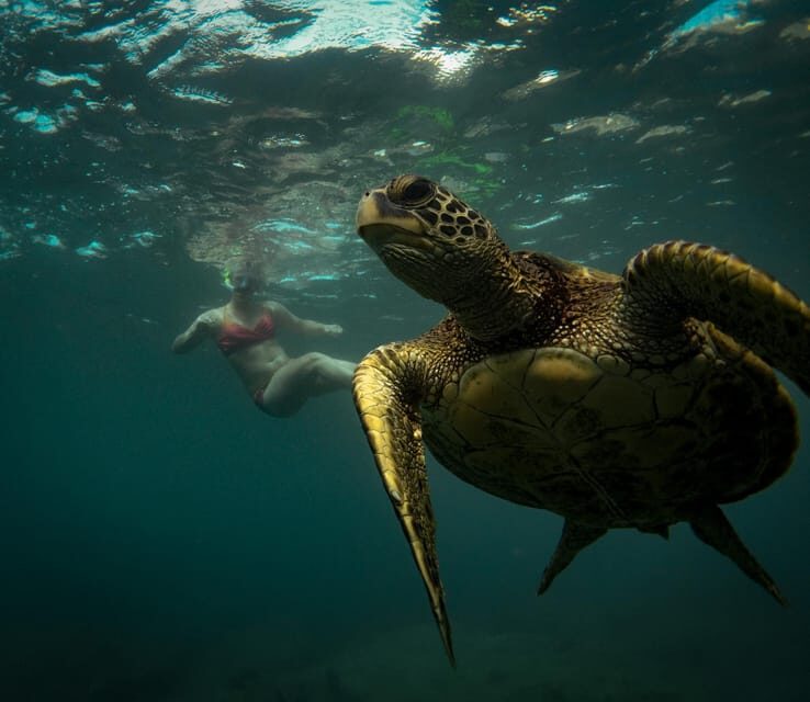 Honolulu: Private Waikiki Boat Cruises for up to 6 People - Final Thoughts
