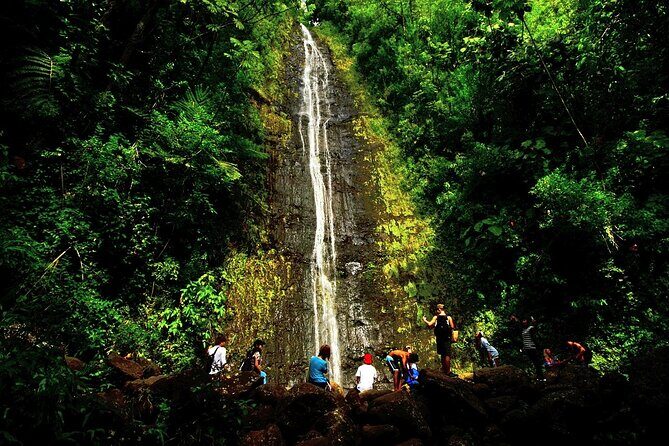 Honolulu Rainforest Self-Guided Audio Tour - What Are the Drawbacks?