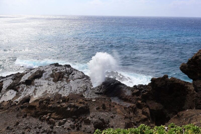 Honolulu: Stunning Views of Oahu! Half-day Scenic Tour - Group Size and Atmosphere