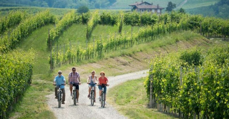 Hood River: All-Day E-Bike Rental - Key Points