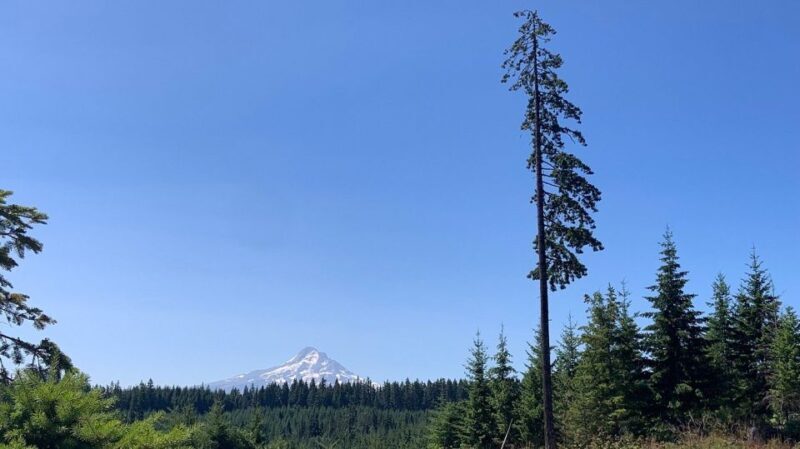 Hood River: All-Day E-Bike Rental - The Scenic Highlights