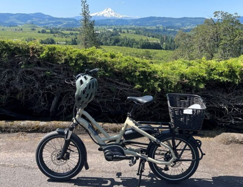 Hood River: All-Day E-Bike Rental - The Practical Side: Cost and Logistics