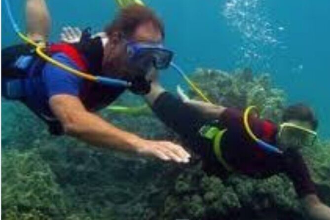 Hookah Diving Adventure in Zihuatanejo - The Itinerary and What to Expect