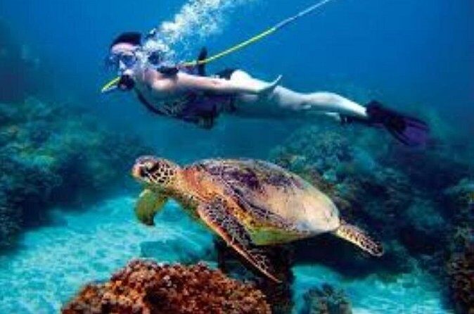 Hookah Diving Adventure in Zihuatanejo - Who Will Love This Tour?