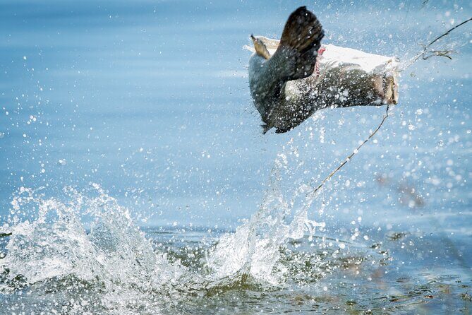 Hooked On Barra - Land Based Barramundi Fishing - The Experience: What to Expect from Hooked On Barra