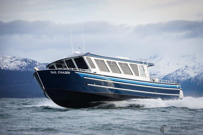 Hoonah Whale-Watching Cruise - Near Icy Strait Point - The Experience of Wildlife Watching