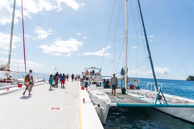 Hop & Drop Soufriere Transfer - The Real Experience: What Travelers Are Saying