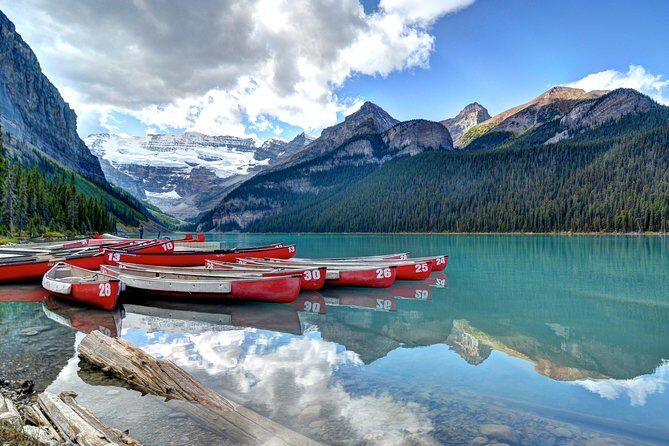 Hop-On and Hop-Off Banff Bus - An In-Depth Look at the Experience