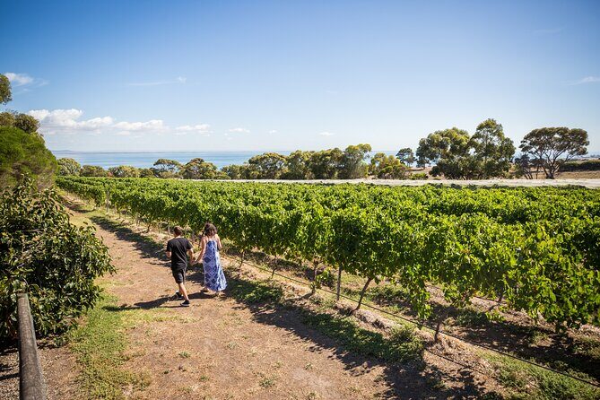 Hop On Hop Off Bellarine Bellarine Peninsula - Who Would Enjoy This Tour?
