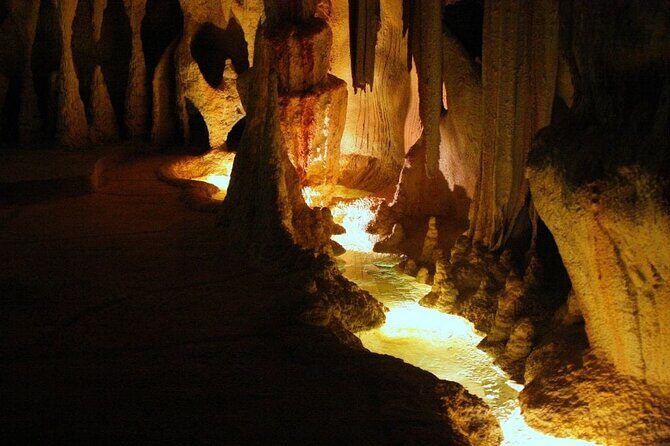 Hop on Hop off - Tamborine Rainforest Skywalk + Glow Worm Caves - What the Tour Offers: A Complete Breakdown