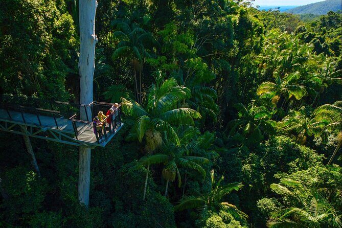 Hop on Hop off - Tamborine Rainforest Skywalk + Glow Worm Caves - Transportation & Group Size