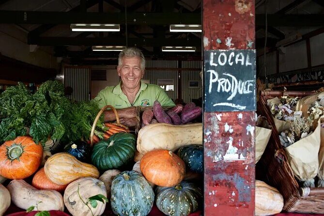 Hop on Hop off - Tamborine Rainforest Skywalk + Glow Worm Caves - The Value Proposition