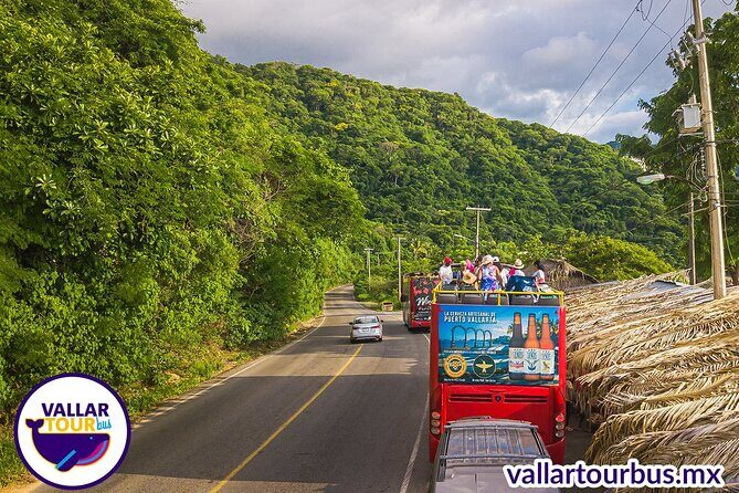 Hop On Hop Off Tour with Free Stops in Puerto Vallarta - Who Is This Tour Best For?