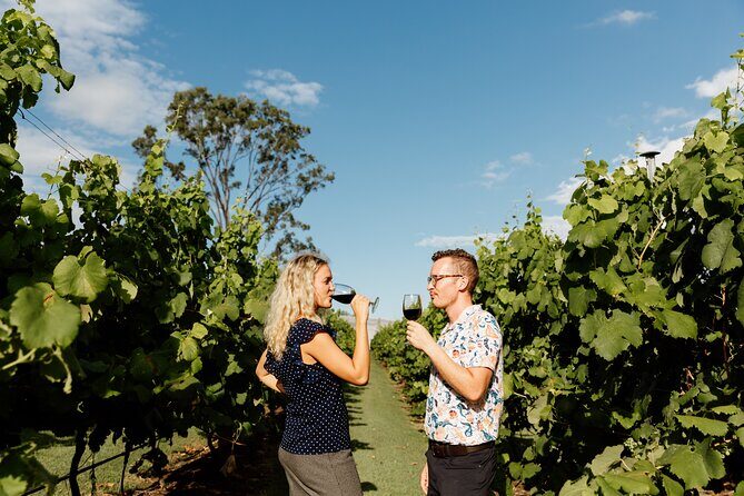 Hop on Hop off Wine tasting tour to Tamborine Mountain - FAQ