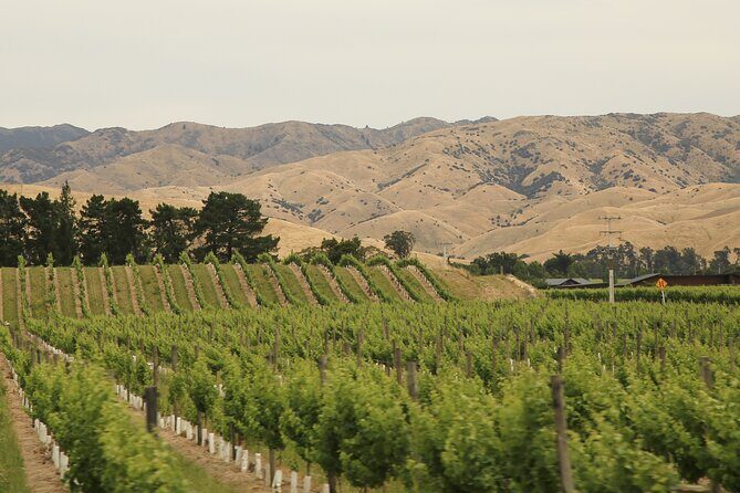 Hop on Hop off Wine Tours Marlborough - Frequently Asked Questions