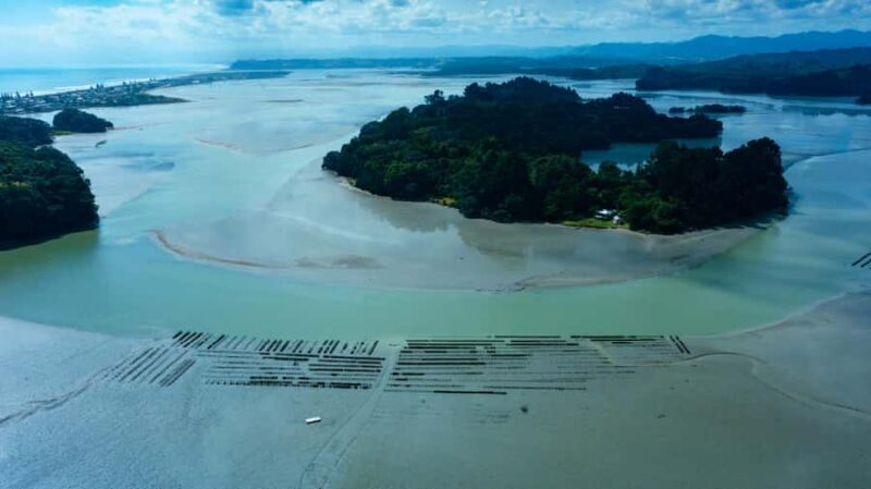 hope: Guided Cruise with Oyster Farm Visit and Lunch - Final Word