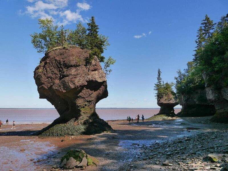 Hopewell Cape: Hopewell Rocks Admission - Key Points