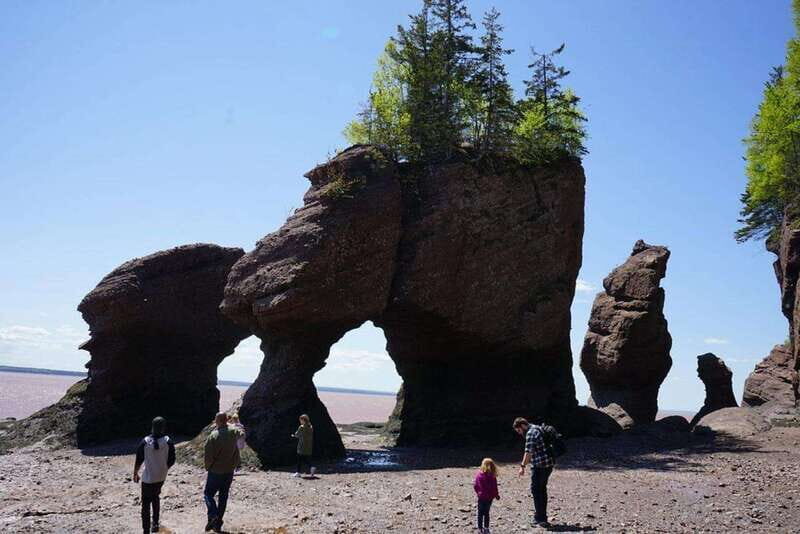 Hopewell Cape: Hopewell Rocks Admission - Introduction: A Natural Marvel Worth Visiting