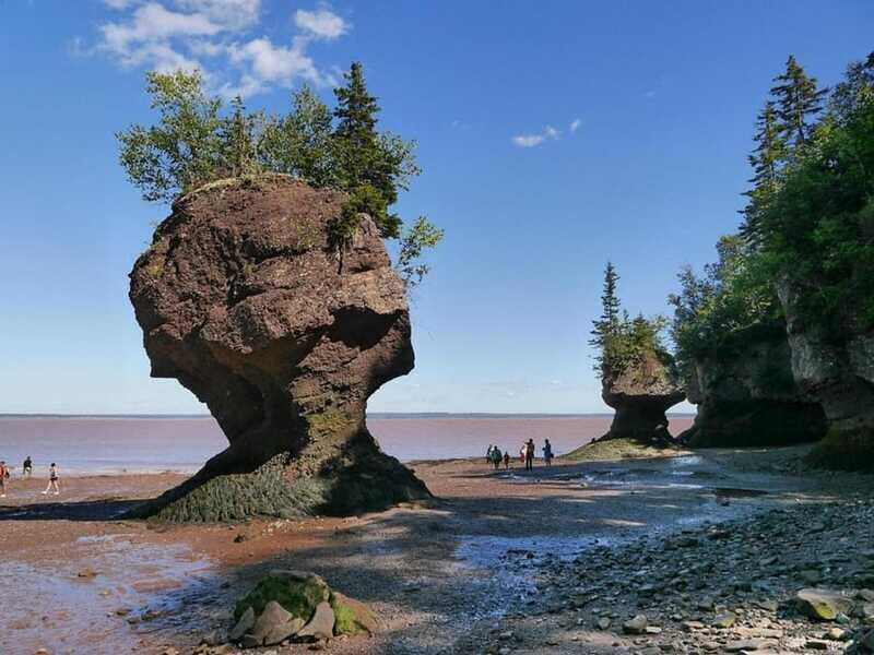 Hopewell Cape: Hopewell Rocks Admission - Final Thoughts: Who Should Visit?