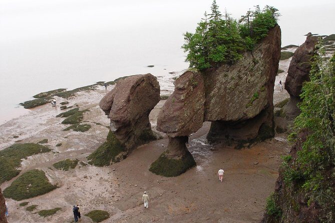 Hopewell Rocks Admission - A Deep Dive into the Hopewell Rocks Experience