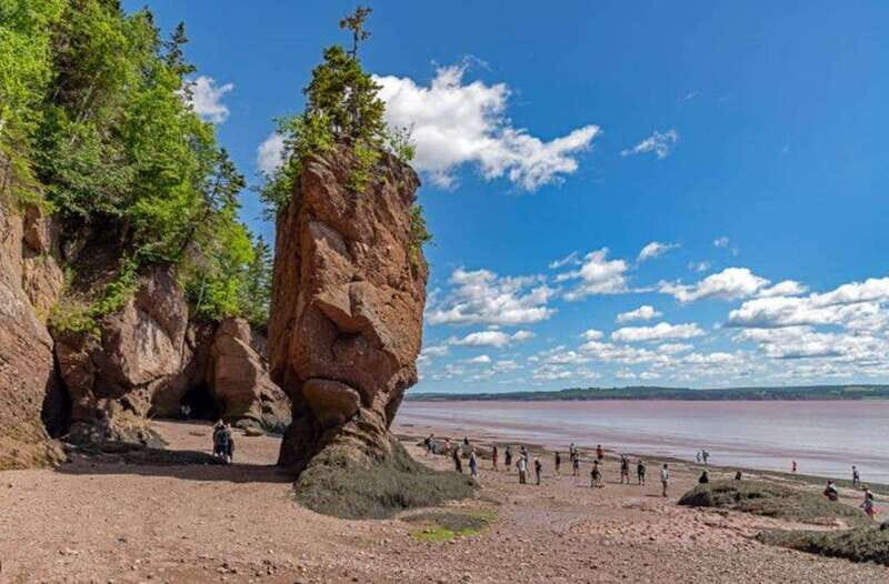 Hopewell Rocks and Fundy National Park Private Tour - Key Points