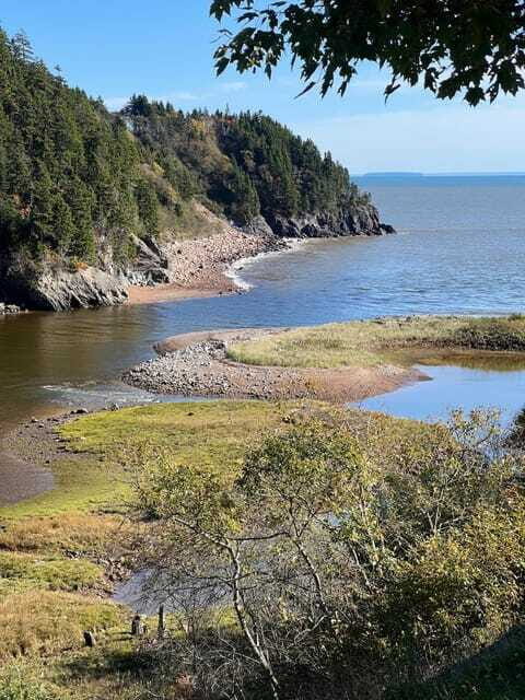 Hopewell Rocks and Fundy National Park Private Tour - Who Should Consider This Experience?