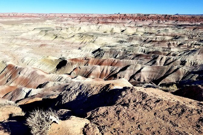 Hopi Cultural and Archaeological Day Trip from Sedona or Flagstaff - What to Expect from the Hopi Cultural and Archaeological Tour
