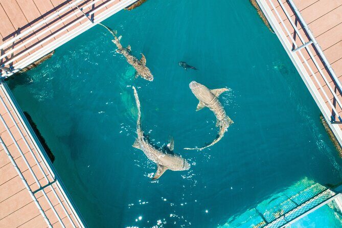 Horizontal Falls Helicopter Adventure from Broome - Frequently Asked Questions