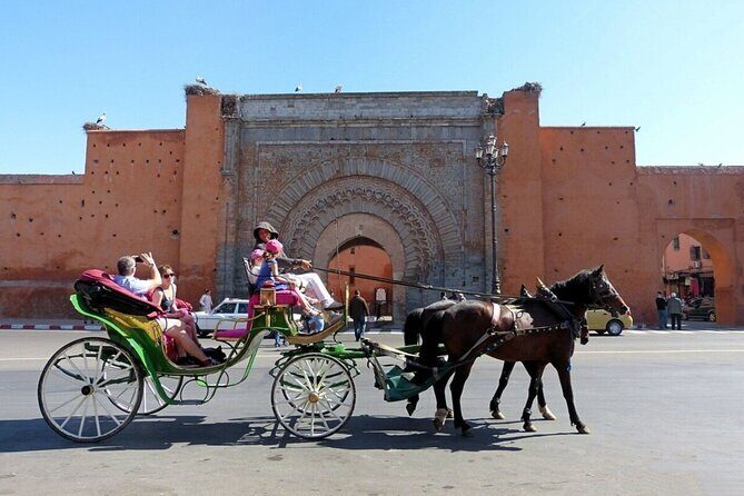 Horse and Carriage Ride with Majorelle Garden - An In-Depth Look at the Tour Experience