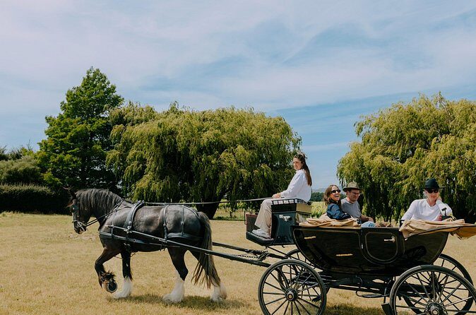 Horse and Carriage Wine Tour in Marlborough with Lunch - The Sum Up: Who Should Consider This Tour?