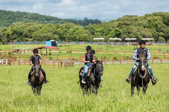 Horse and Quad bike tour with a visit to a Petting Zoo - Pricing and Value
