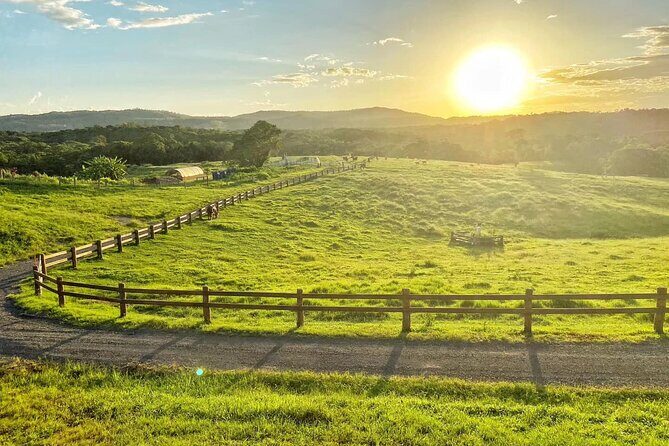 Horse and Quad bike tour with a visit to a Petting Zoo - FAQs