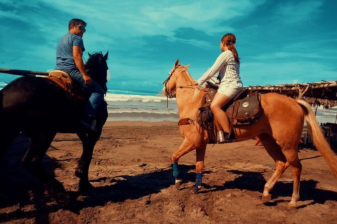 Horse Back Riding And Baby Turtle Camp Visit - Introduction