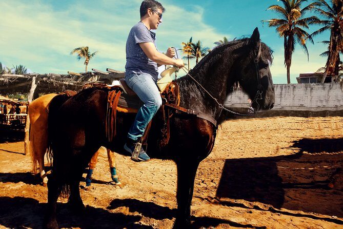 Horse Back Riding And Baby Turtle Camp Visit - What to Expect from the Tour