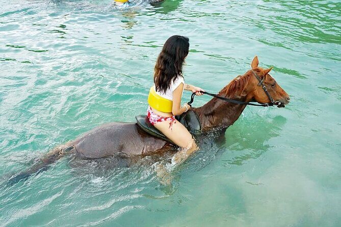 Horse Back riding Excursion - In-Depth Review of the Horseback Riding Experience