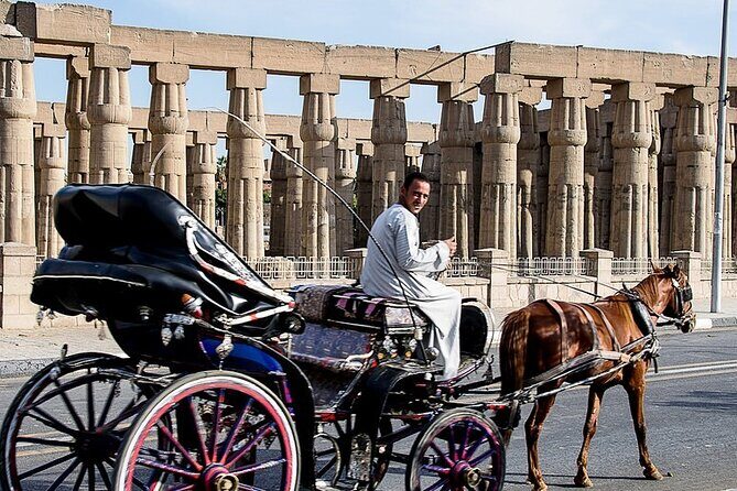 Horse Carriage City Tour in Luxor city with meal and soft drink - A Guided Ride Through Luxor’s Streets