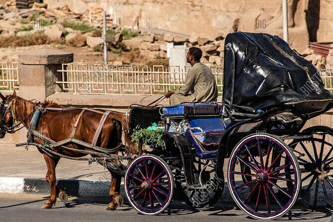 Horse Carriage City Tour in Luxor city with meal and soft drink - The Itinerary: What to Expect