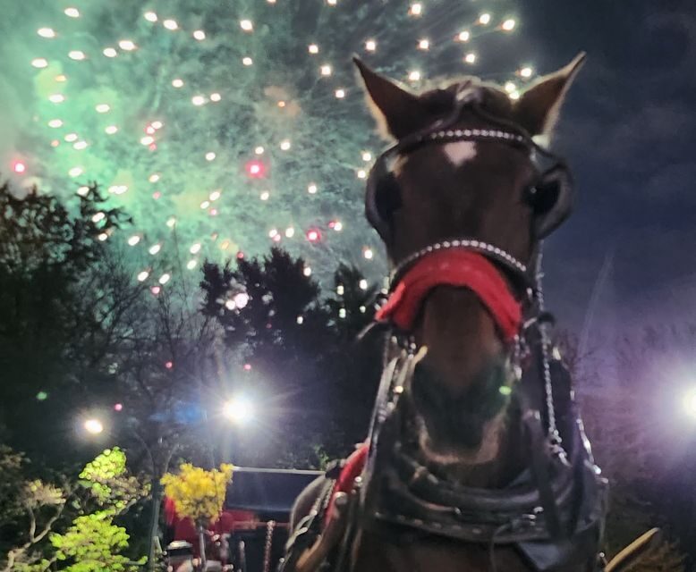 Horse Carriage Ride at Rockefeller Center & Times Square - Exploring the Itinerary: What Makes Each Stop Special