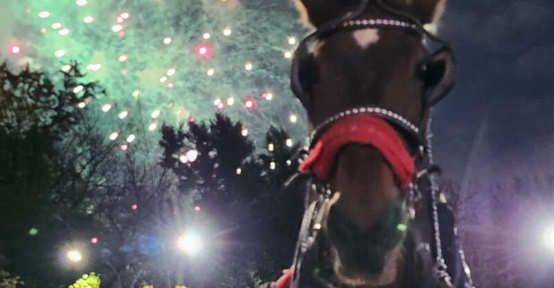 Horse Carriage Ride at Rockefeller Center & Times Square - Pricing and Value: Is It Worth It?