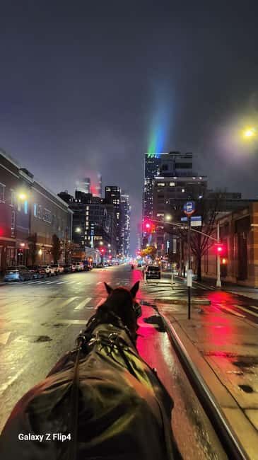 Horse Carriage Ride at Rockefeller Center & Times Square - The Experience: What Travelers Say