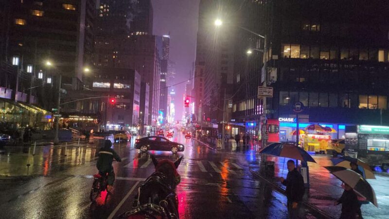 Horse Carriage Ride at Rockefeller Center & Times Square - The Sum Up: Who’s This Tour For?