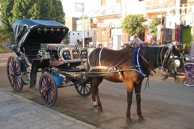 Horse Carriage Ride in Aswan - Key Sights Included in the Ride