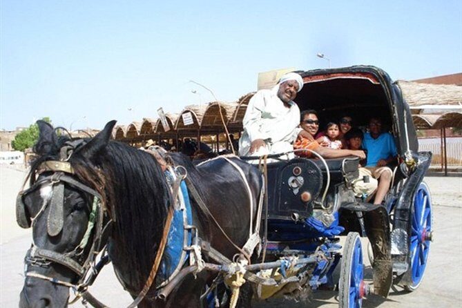 Horse Carriage Ride in Aswan - Practical Details and Logistics