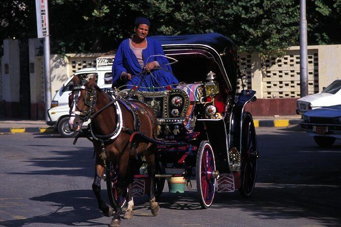 Horse Carriage Ride in Aswan - Value and How It Compares