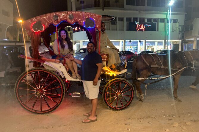 Horse Carriage Ride in Aswan - Who Might Not Love It?