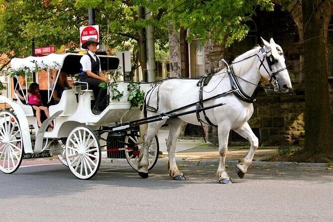 Horse Carriage Romantic Ride (VIP-Private) in Central Park 1964 - What is the Horse Carriage Romantic Ride in Central Park?