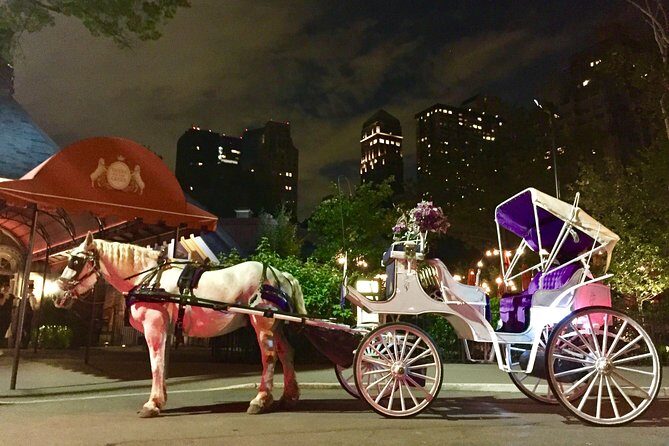 Horse Carriage Romantic Ride (VIP-Private) in Central Park 1964 - Practical Details