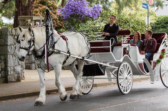 Horse Carriage Romantic Ride (VIP-Private) in Central Park 1964 - Is It Worth the Price?