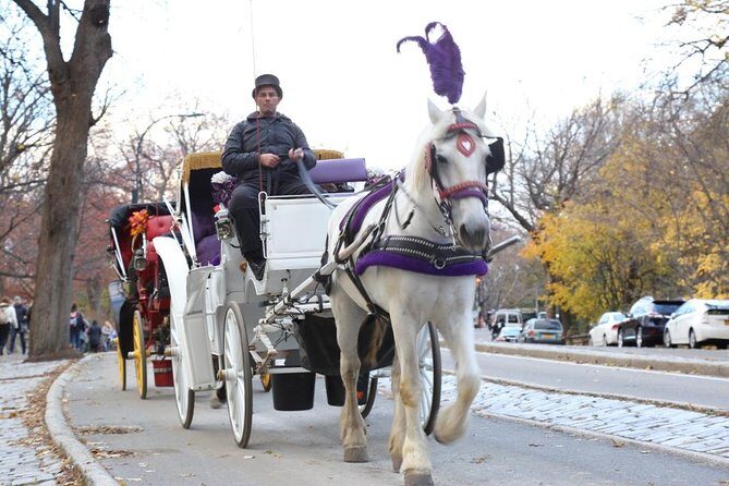 Horse Carriage Tour in New York City's Central Park Small Loop - Why this horse carriage tour is worth considering