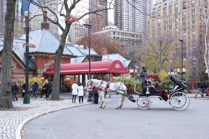 Horse Carriage Tour in New York City's Central Park Small Loop - Authentic reviews from fellow travelers